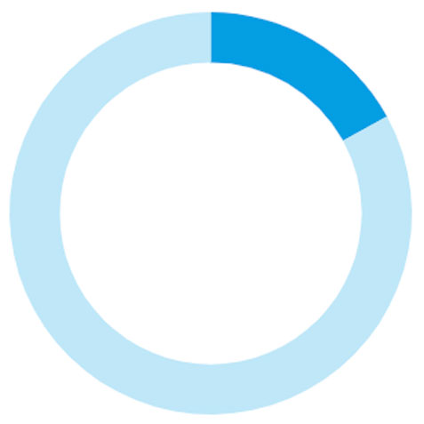 17%