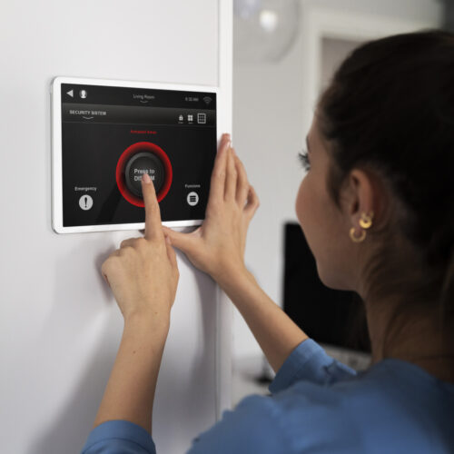 Back of woman's head using a smart meter